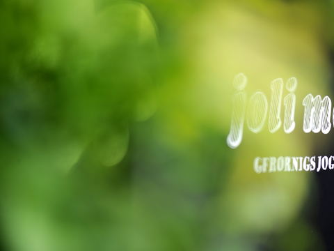 Bei der joli mont manufaktur heisst das Frozen Yogurt: Gfrornigs Joghurt.