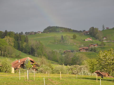 No image description