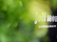 Bei der joli mont manufaktur heisst das Frozen Yogurt: Gfrornigs Joghurt.