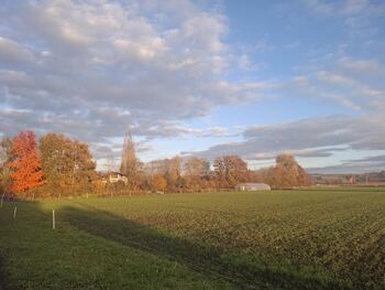 No image description