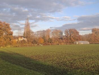 No image description